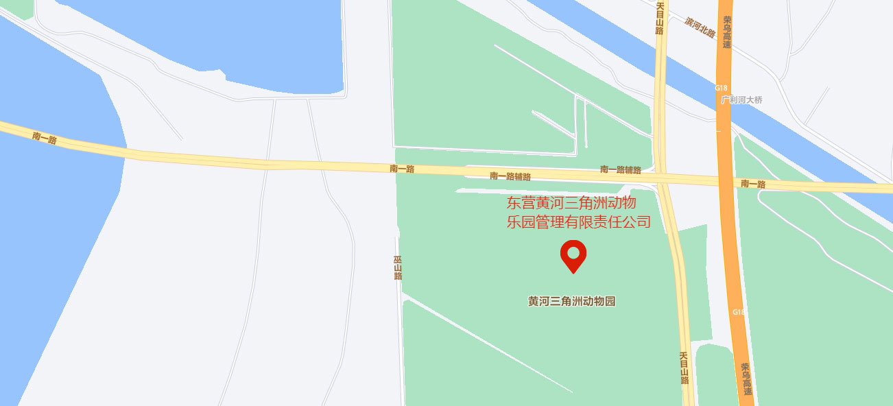 4东营黄河三角洲动物乐园管理有限责任公司.jpg